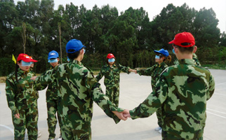 𱬾W(wng)j(lu)չӖ(xn)֮҈@